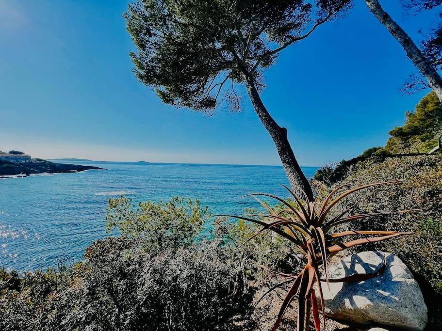 Escapade Au Coeur De Sanary 아파트 외부 사진